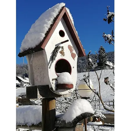 Neumeyer Appartement Nordrach